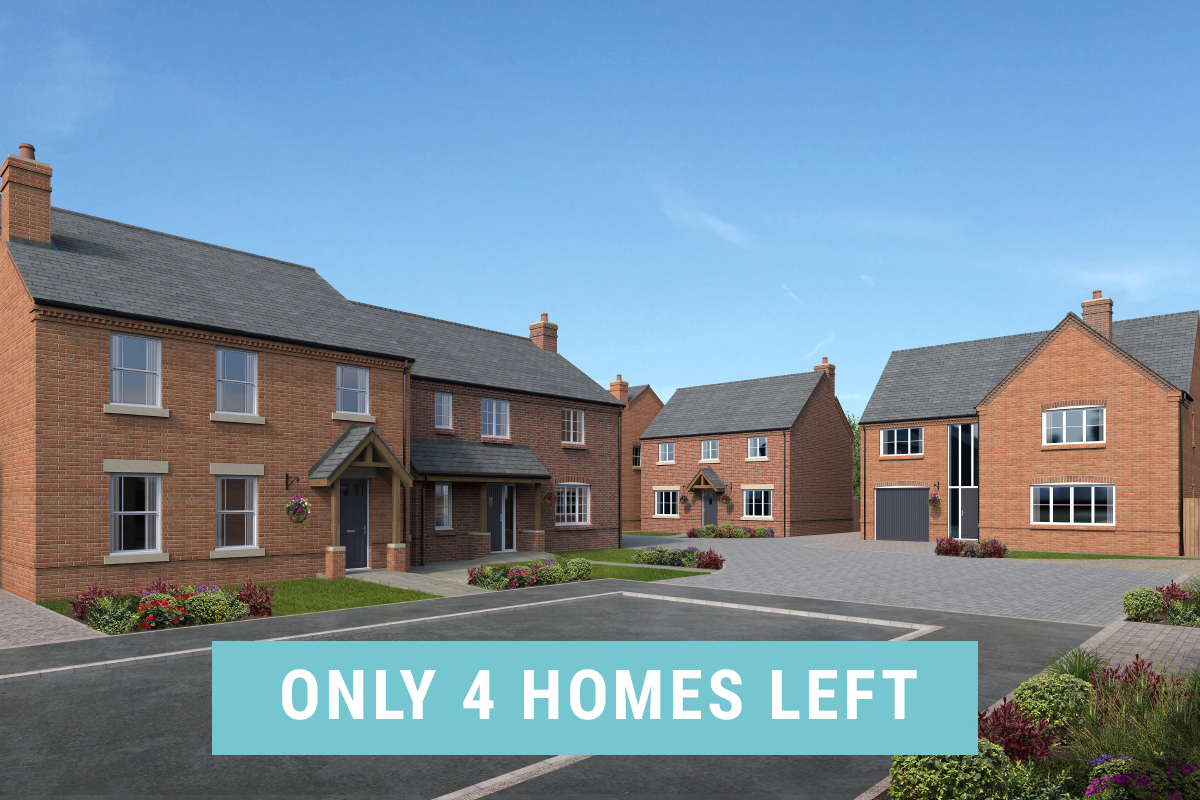 Meadowview Homes Contemporary Living